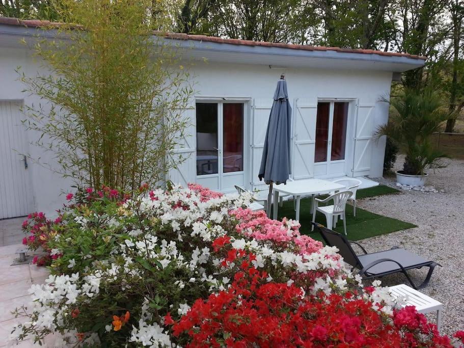 Chalet A Louer Pres De Dax Mées Екстериор снимка